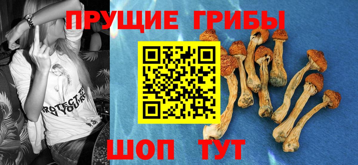 Галлюциногенные грибы Magic Shrooms  Вход с VPN  Заволжье 